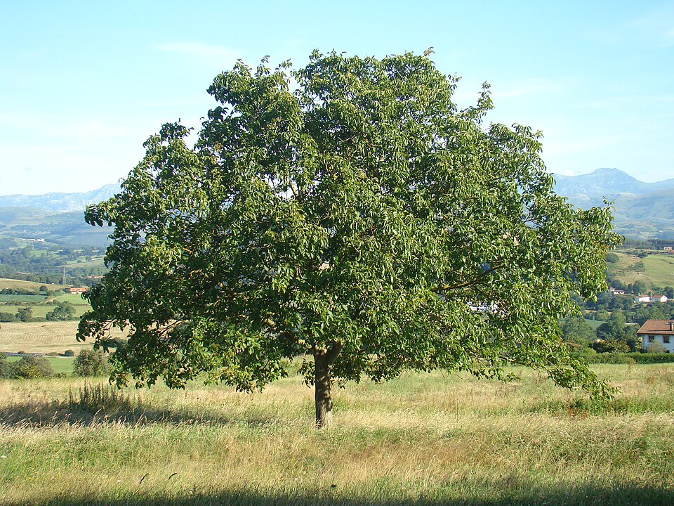 Foto 3 — Ribamontán al Monte, Cantabria (39062)