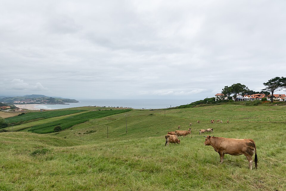 Foto 3 — San Vicente de la Barquera, Cantabria (39080)