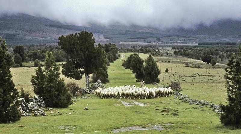 Vista de Casla, Segovia (40590)