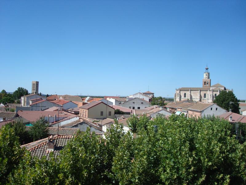 Vista de Coca, Segovia (40480)