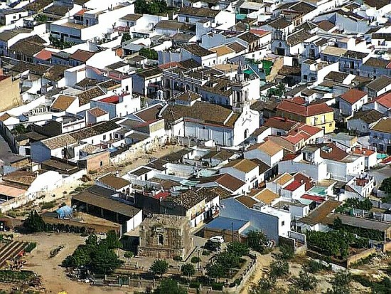 Foto 3 — Albaida del Aljarafe, Sevilla (41809)