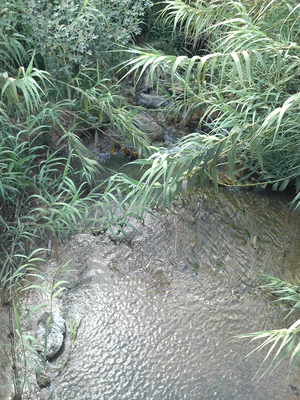 Foto 4 — Brenes, Sevilla (41310)