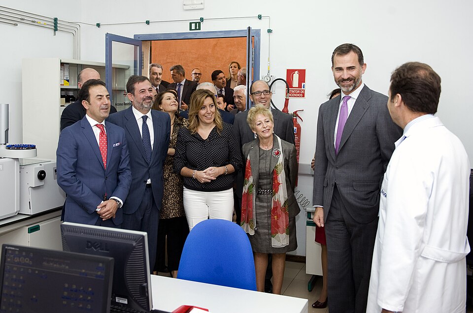 Foto 4 — Burguillos, Sevilla (41220)