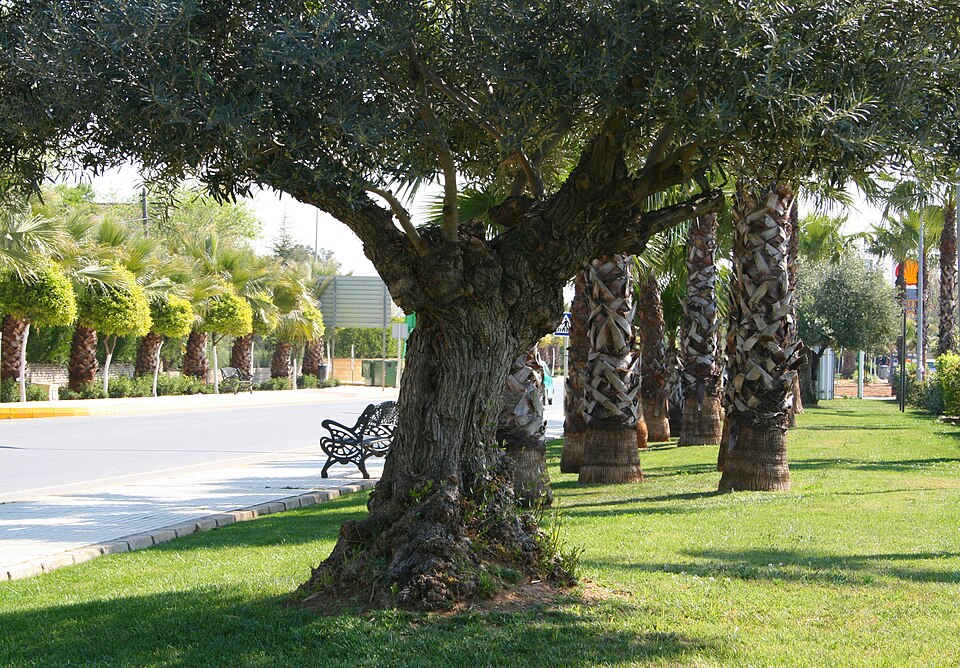 Foto 3 — Espartinas, Sevilla (41807)
