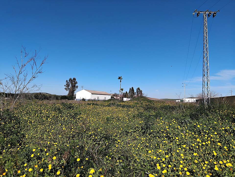 Foto 2 — Marchena, Sevilla (41620)