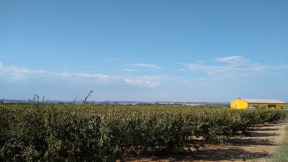 Foto 3 — Tocina, Sevilla (41340)