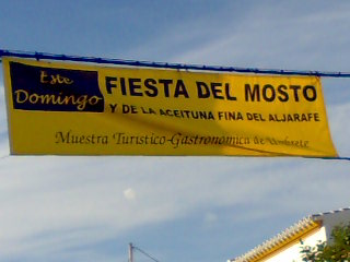 Foto 4 — Umbrete, Sevilla (41806)