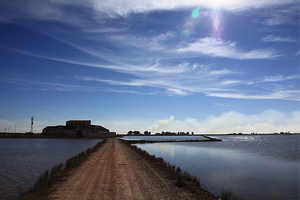 Foto 4 — Isla Mayor, Sevilla (41140)