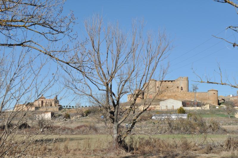 Vista de Almenar de Soria, Soria (42130)