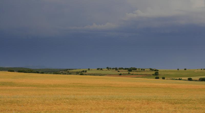 Vista de Bliecos, Soria (42128)