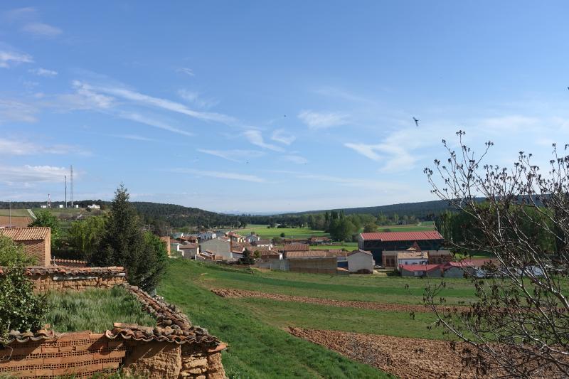Vista de Matamala de Almazán, Soria (42211)