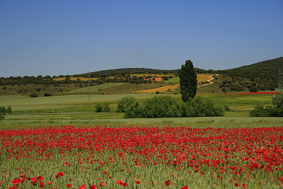 Foto 2 — Ólvega, Soria (42110)