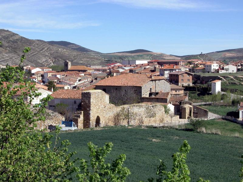 Vista de San Pedro Manrique, Soria (42174)