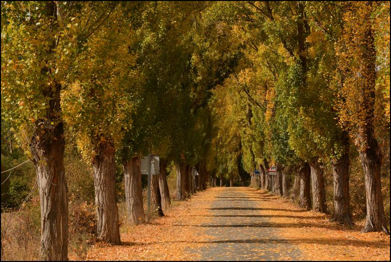 Vista de Villar del Río, Soria (42209)