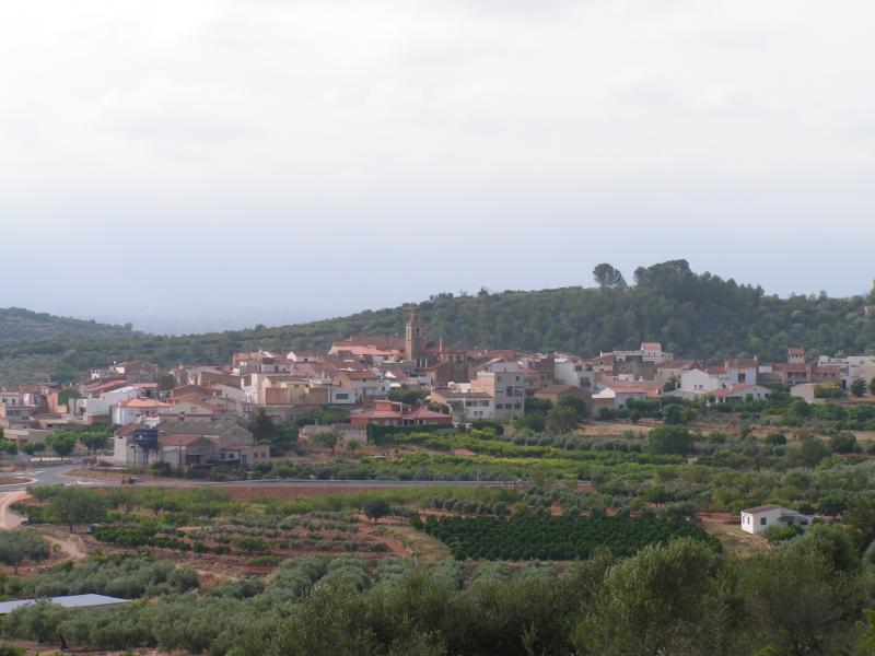 Vista de Freginals, Tarragona (43062)