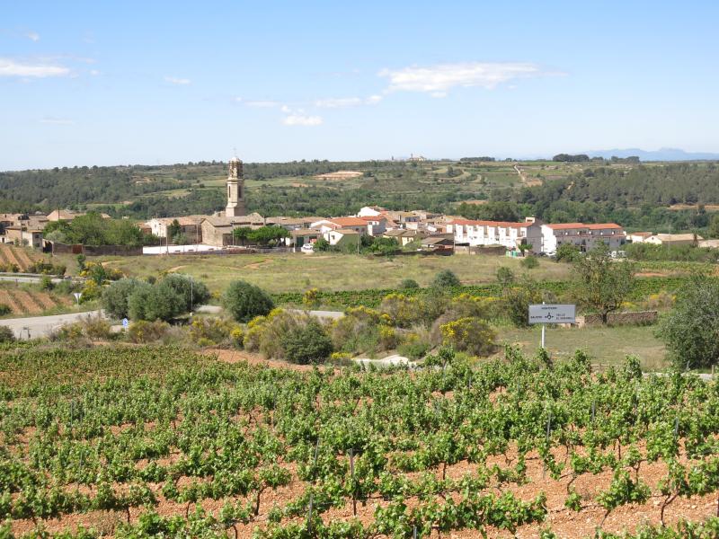 Vista de Montferri, Tarragona (43089)