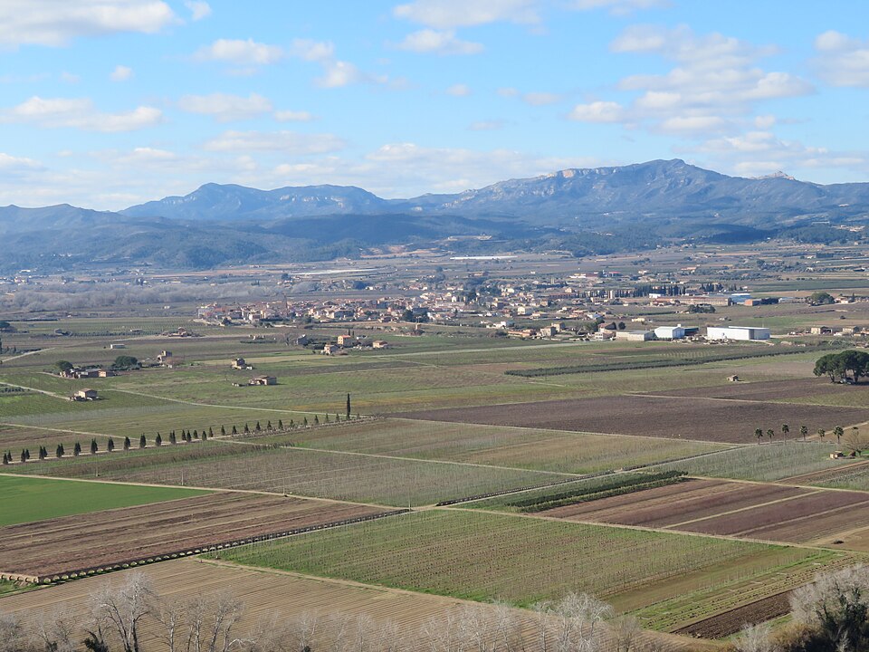 Foto 4 — Móra d'Ebre, Tarragona (43093)