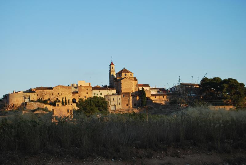 Vista de Puigpelat, Tarragona (43119)