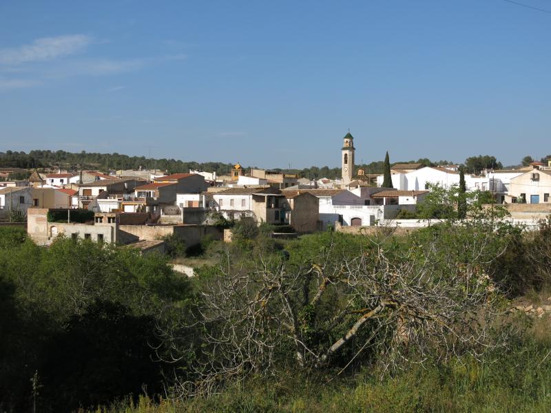 Vista de Salomó, Tarragona (43135)