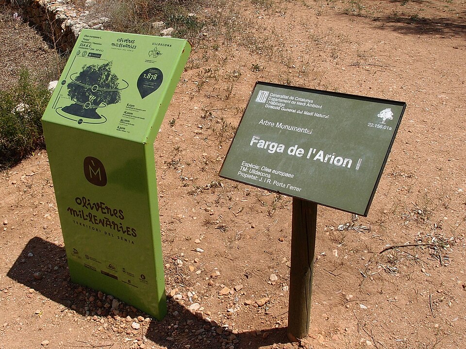 Foto 2 — Ulldecona, Tarragona (43156)