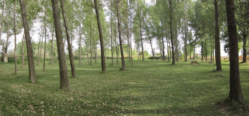 Foto 5 — Monreal del Campo, Teruel (44153)