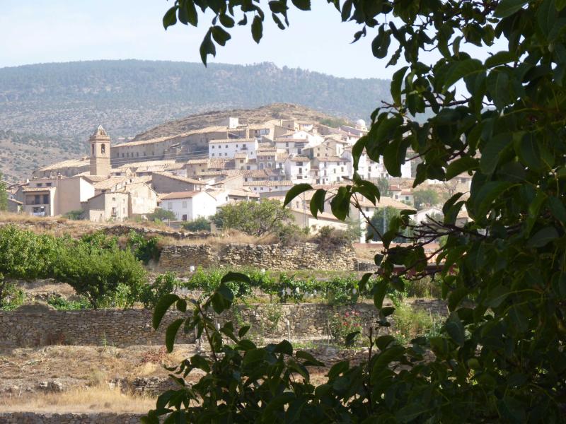 Vista de Nogueruelas, Teruel (44165)