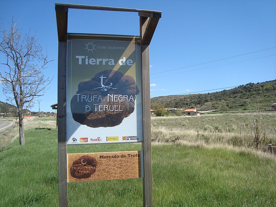 Foto 2 — Sarrión, Teruel (44460)