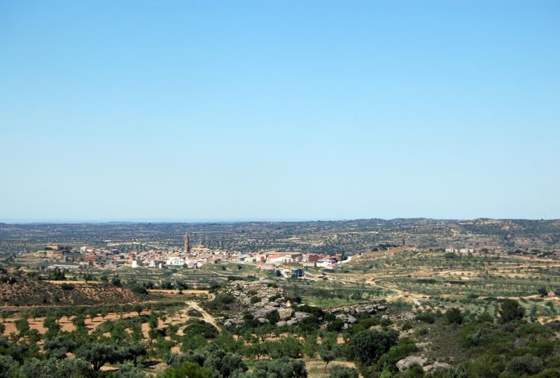 Vista de Valdealgorfa, Teruel (44594)