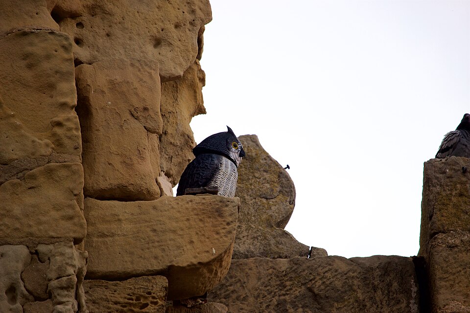 Foto 2 — Valderrobres, Teruel (44580)