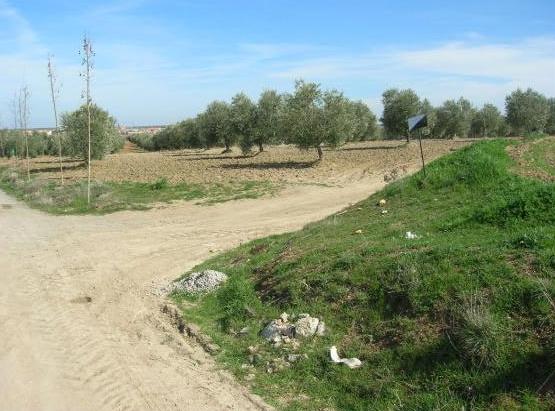 Foto 4 — Burguillos de Toledo, Toledo (45112)