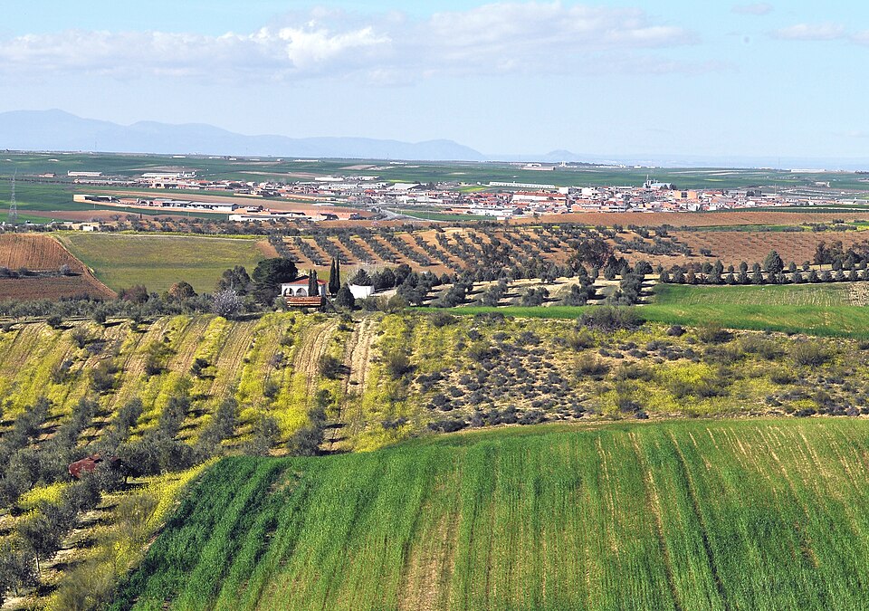 Foto 5 — Burujón, Toledo (45521)