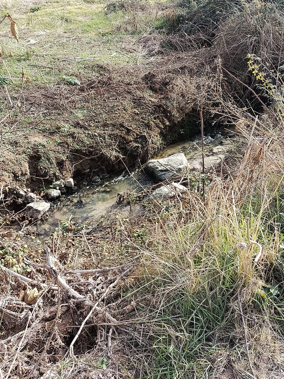 Foto 2 — Gálvez, Toledo (45164)