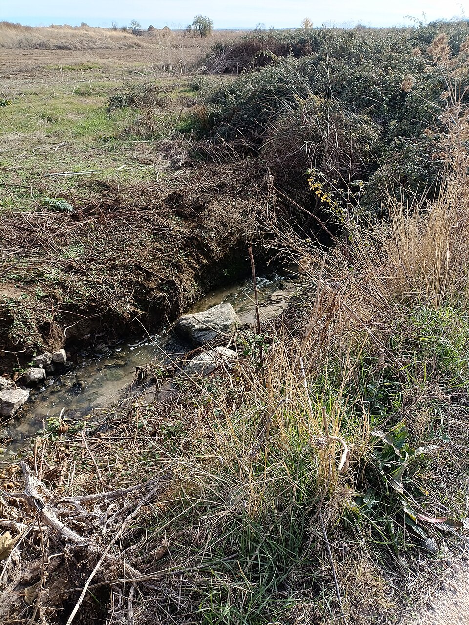 Foto 3 — Gálvez, Toledo (45164)