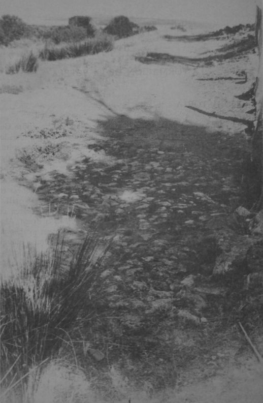 Foto 4 — Guadamur, Toledo (45160)