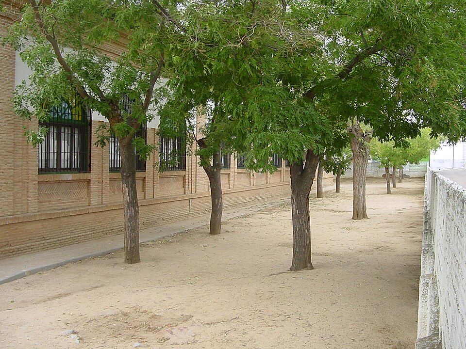 Foto 5 — Guadamur, Toledo (45160)