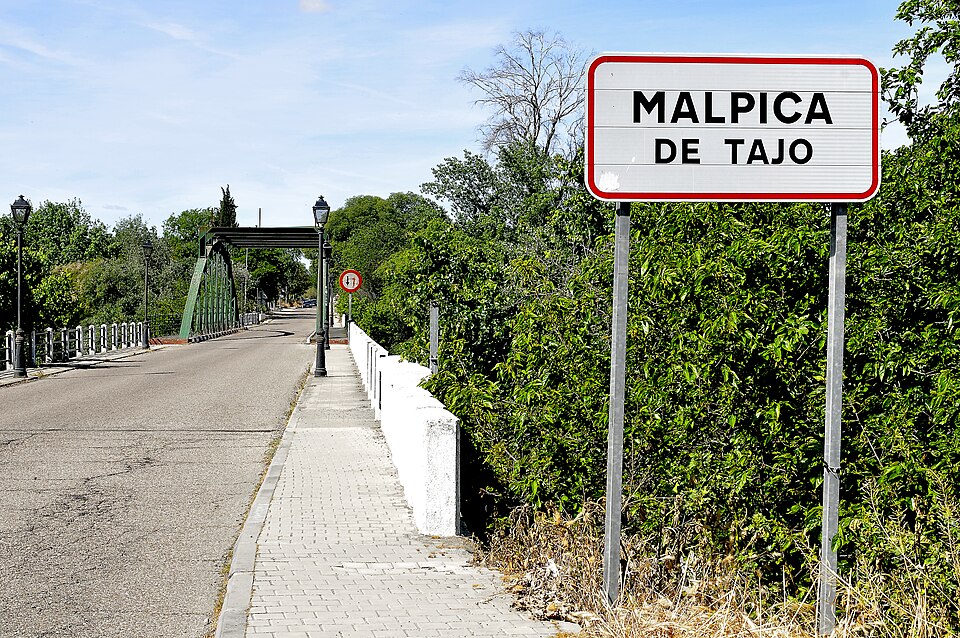 Foto 2 — Malpica de Tajo, Toledo (45692)