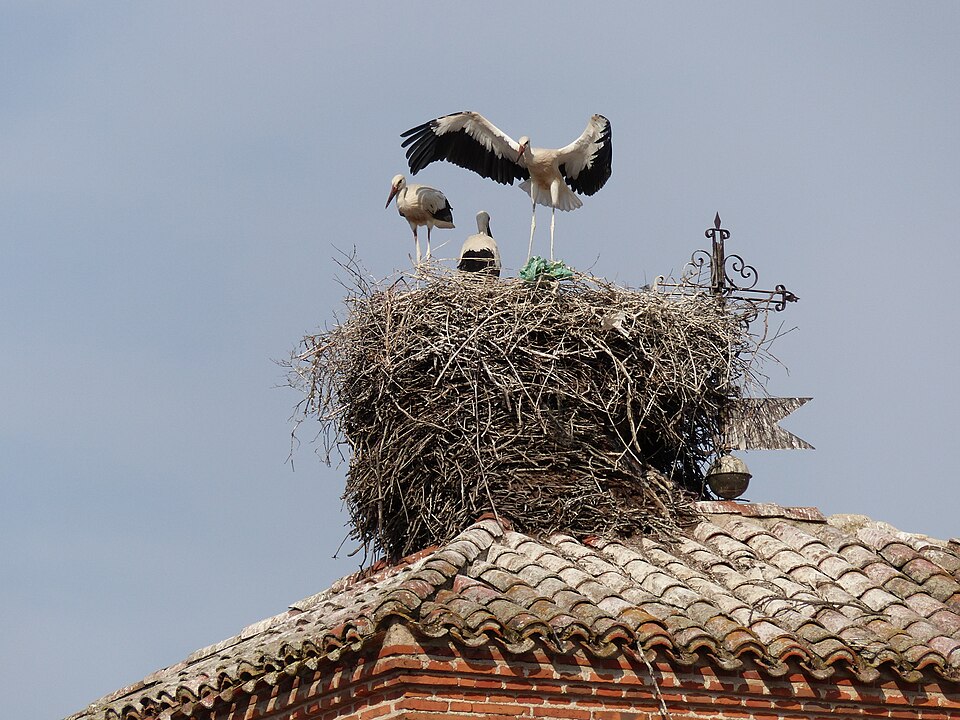Foto 4 — Mejorada, Toledo (45622)