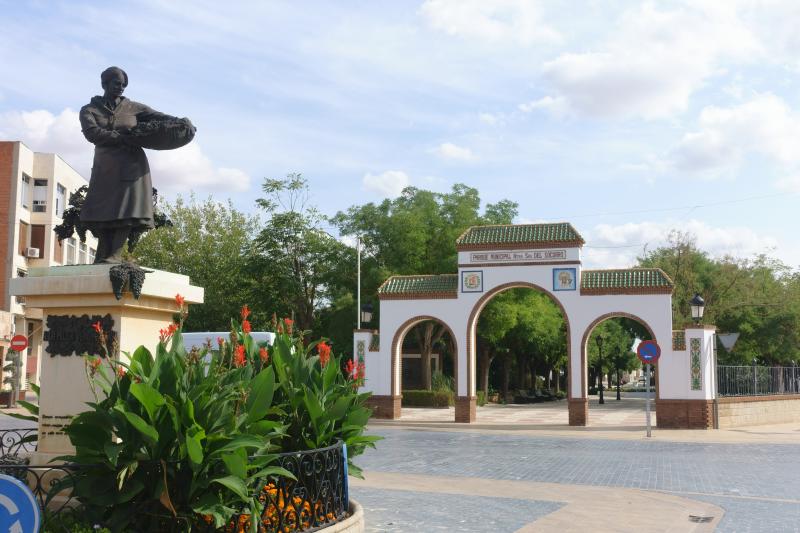 Vista de Miguel Esteban, Toledo (45830)