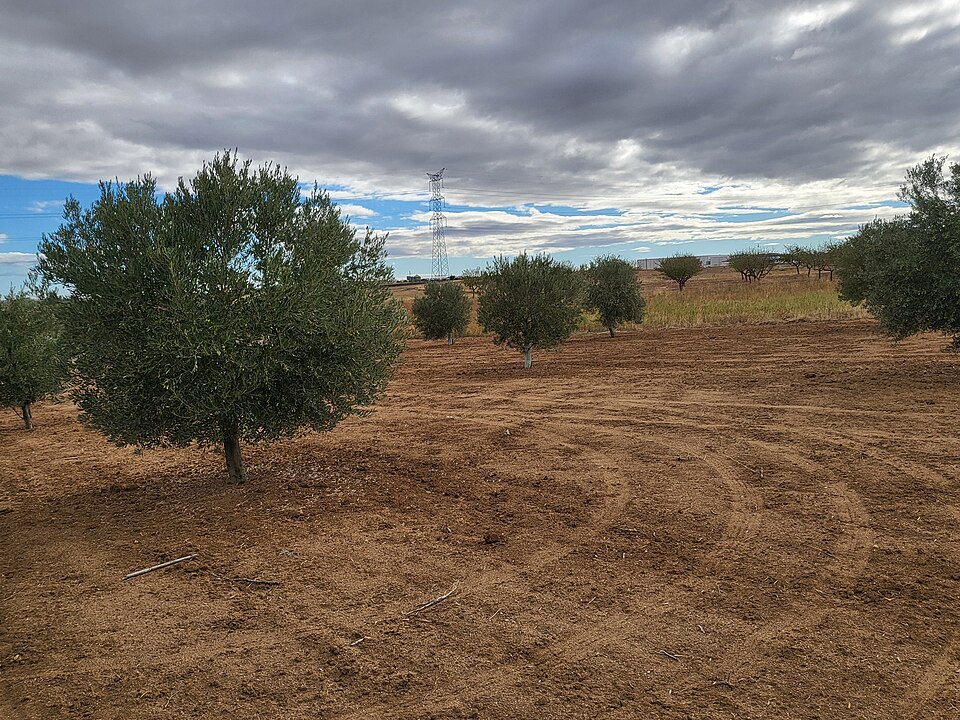 Foto 4 — Portillo de Toledo, Toledo (45512)