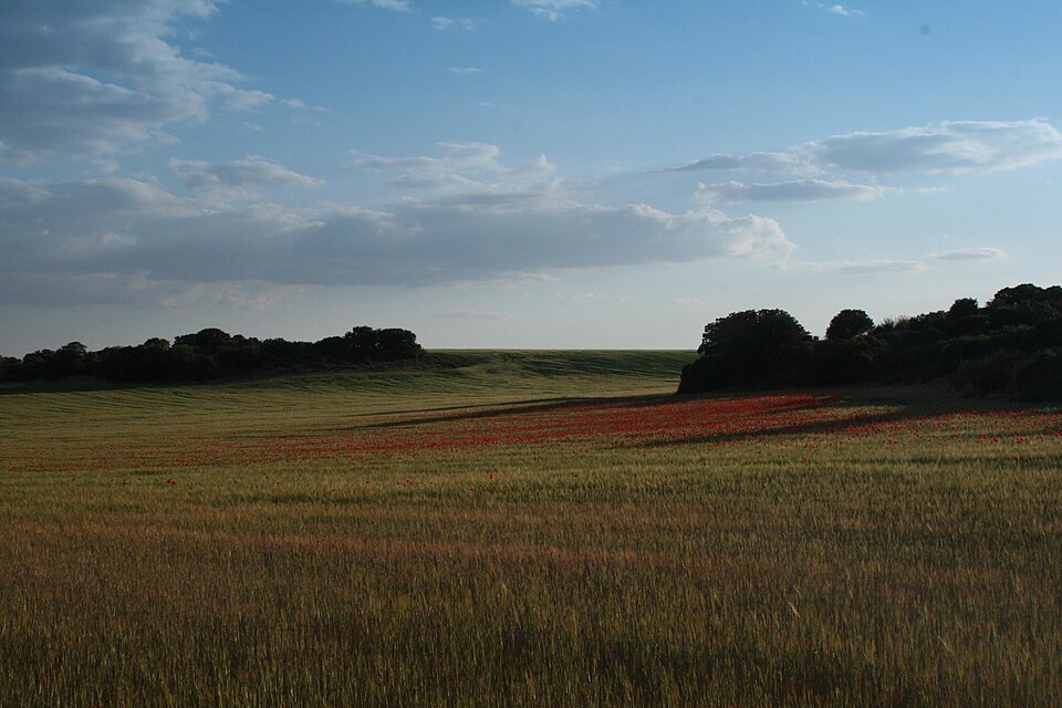 Foto 4 — Villatobas, Toledo (45310)