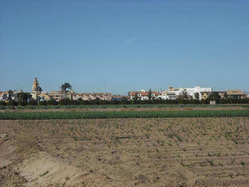 Albalat dels Sorells