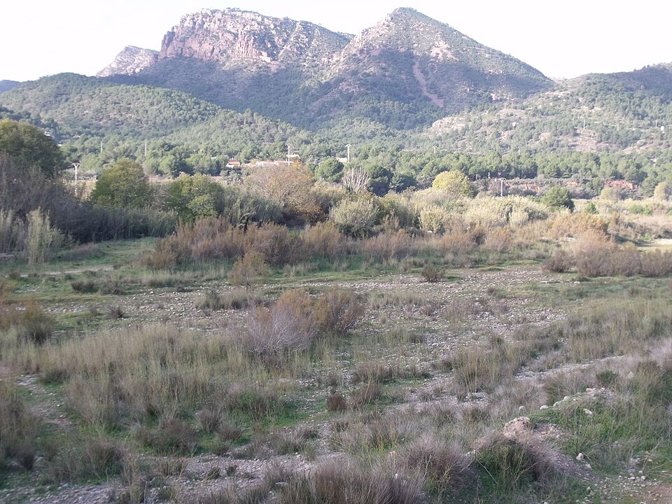 Foto 3 — Albalat dels Tarongers, Valencia (46591)