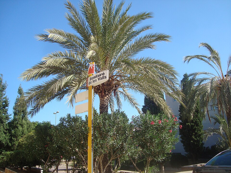 Foto 3 — Benifairó de les Valls, Valencia (46511)