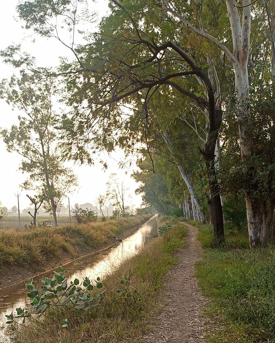 Foto 2 — Canals, Valencia (46650)