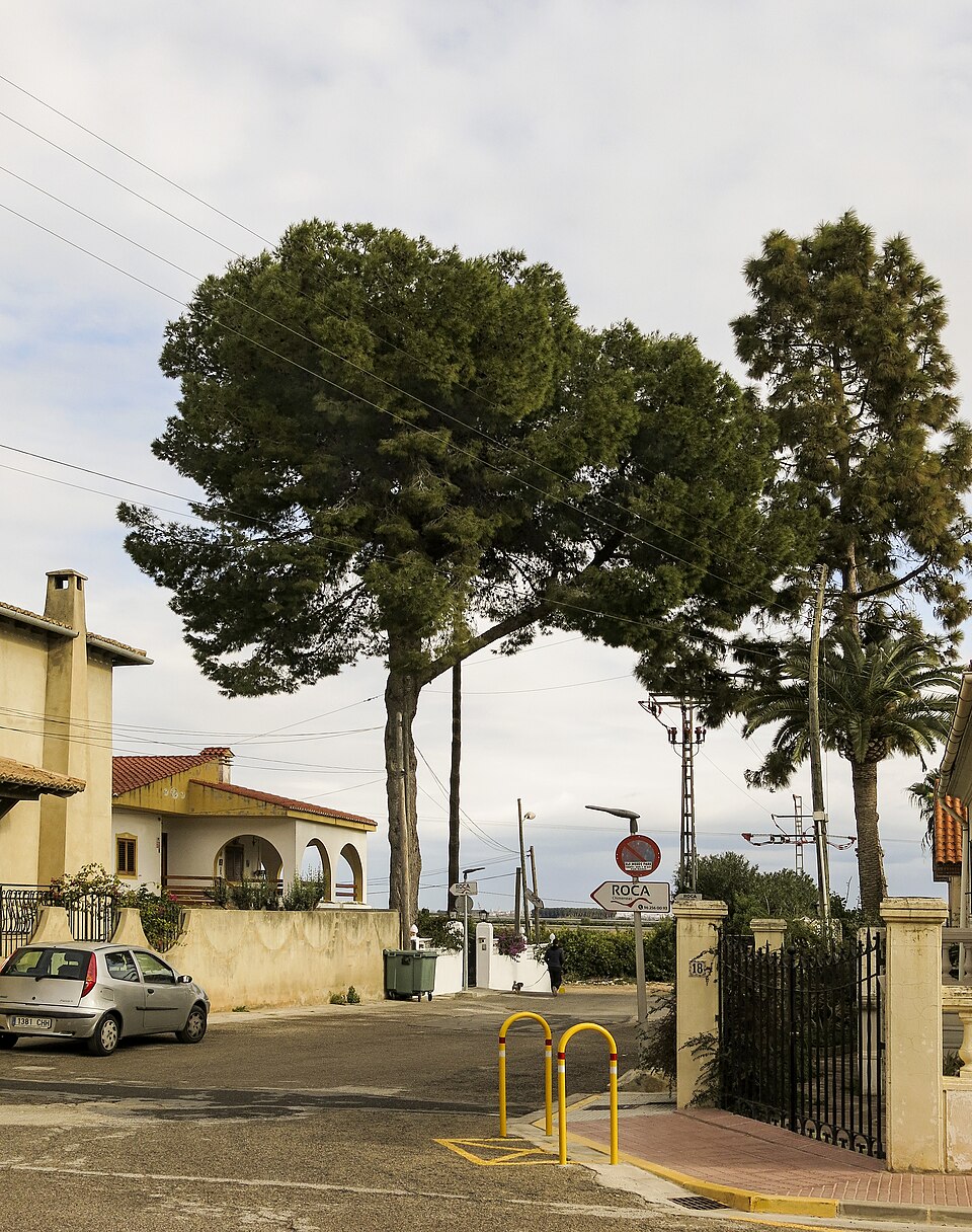Foto 3 — Corbera, Valencia (46612)