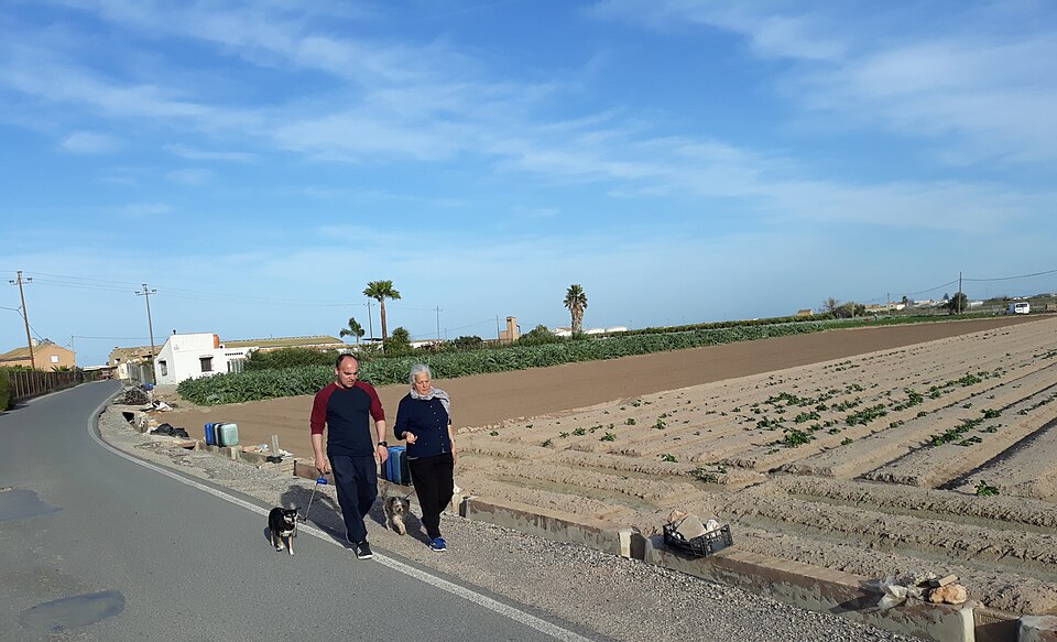 Foto 2 — Foios, Valencia (46134)