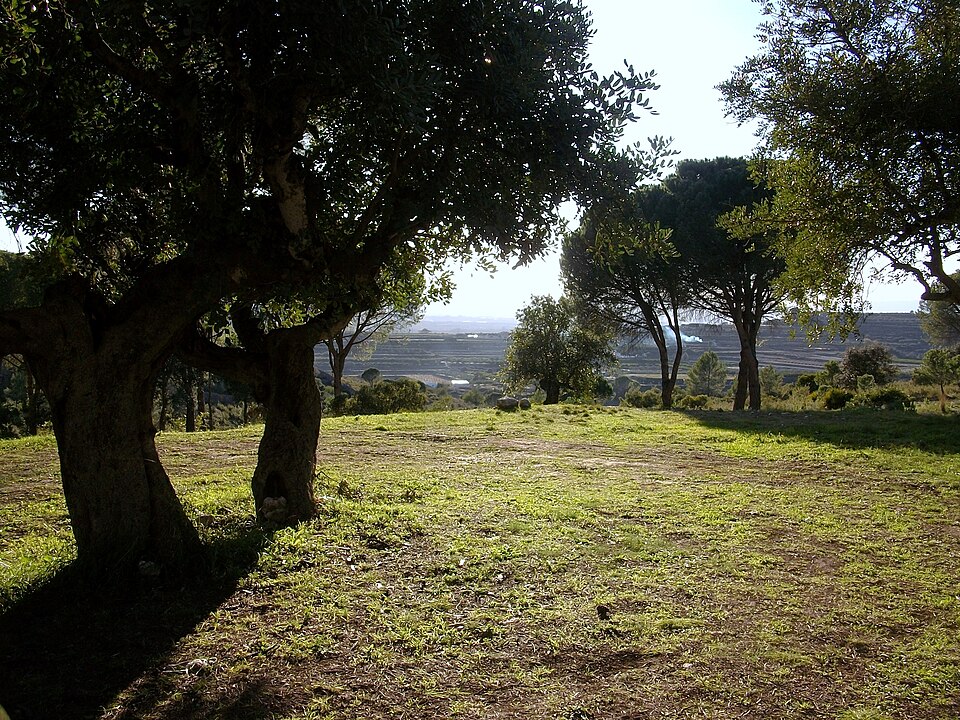 Foto 2 — Llutxent, Valencia (46838)