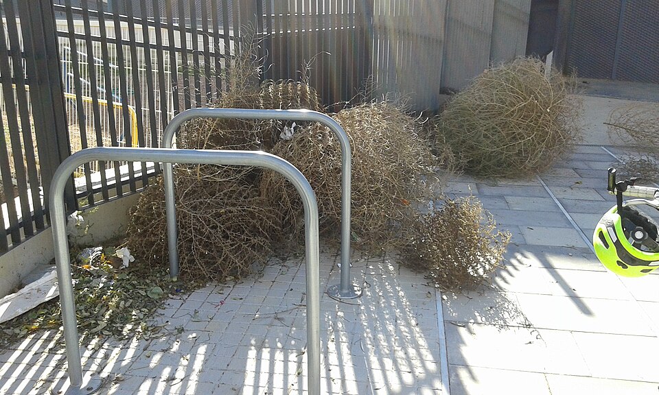Foto 4 — Massamagrell, Valencia (46130)