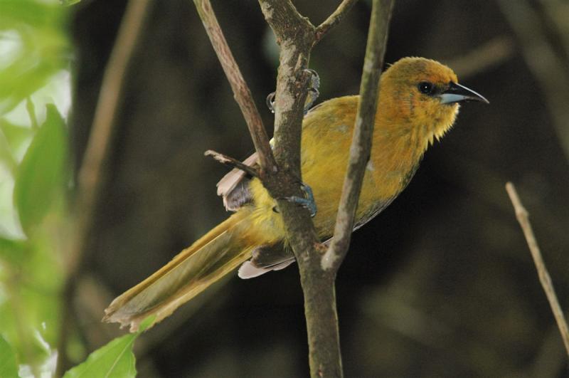 Vista de Montserrat, Valencia (46192)