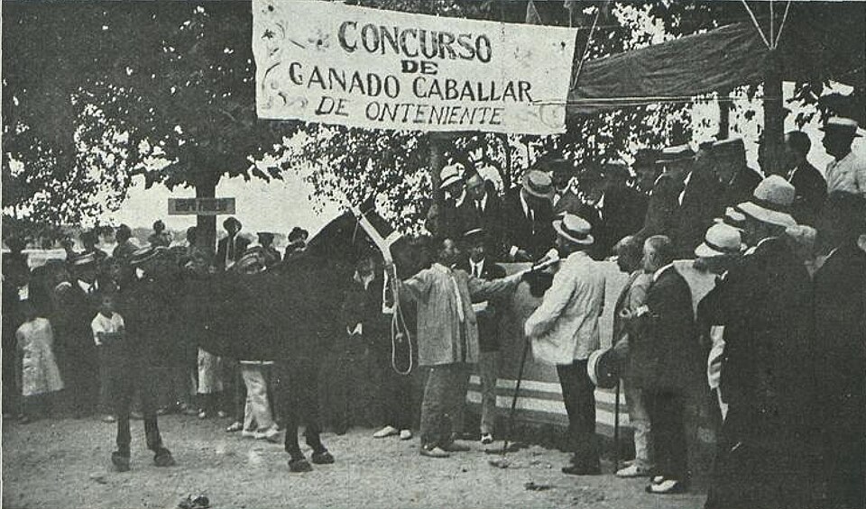 Foto 2 — Ontinyent, Valencia (46870)